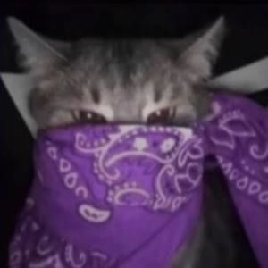 Meet your Posher, Erick